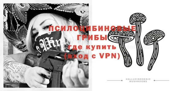 тгк Алзамай