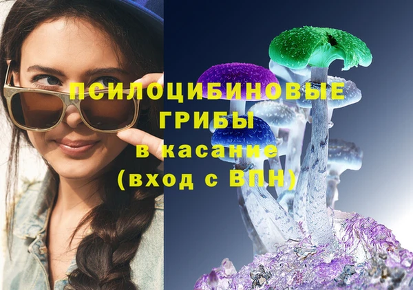 тгк Алзамай