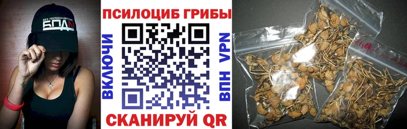 Галлюциногенные грибы GOLDEN TEACHER  Изобильный 