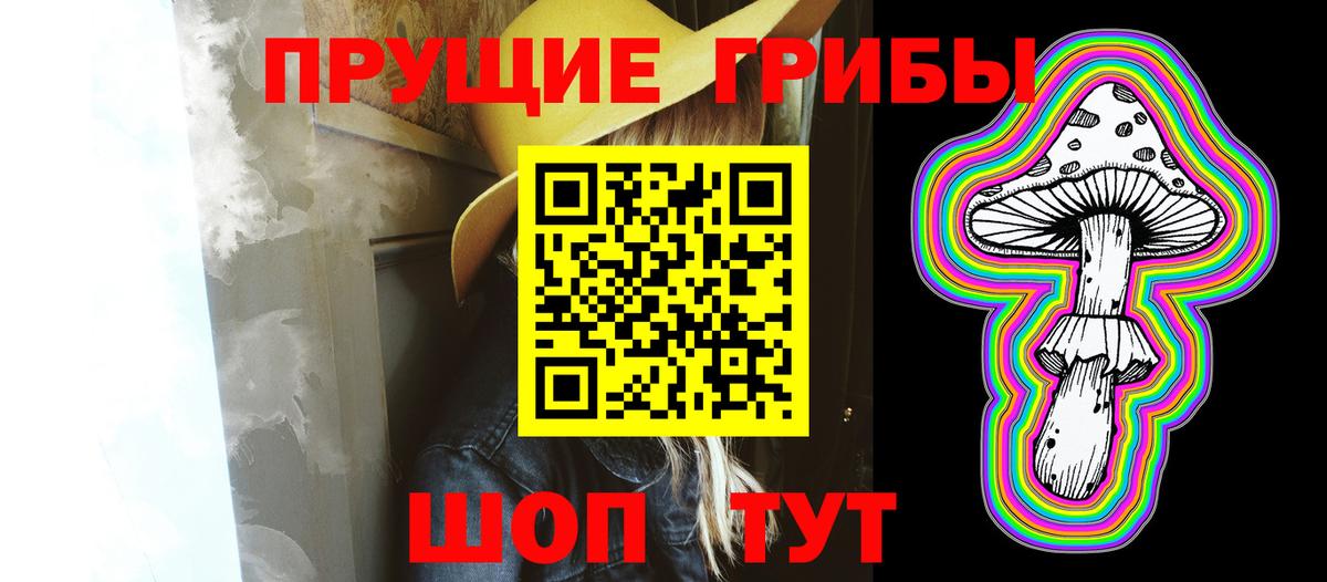 Изобильный  Псилоцибиновые грибы GOLDEN TEACHER  Вход с VPN  Псилоцибиновые грибы мицелий 